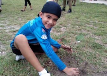 Realizan acciones de reforestación y limpieza de Áreas Naturales Protegidas de Quintana Roo