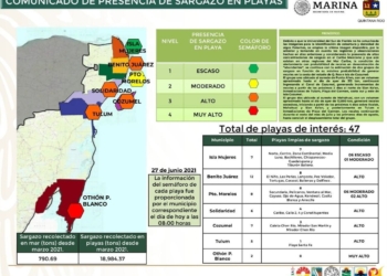 Othón P. Blanco mantiene el mayor índice de playas afectadas por sargazo en Quintana Roo