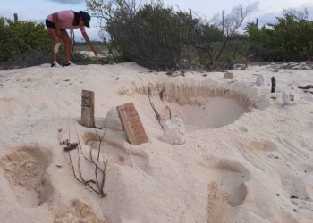 A pesar de la pandemia no descuidan en Puerto Morelos acciones de protección a tortuga marina