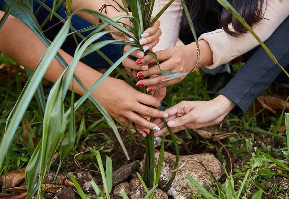 México se suma a iniciativa de la ONU, para restaurar ecosistemas
