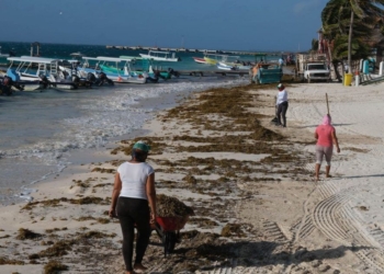 Gobierno de Puerto Morelos mantiene esfuerzos para evitar acumulación de sargazo en las playas públicas