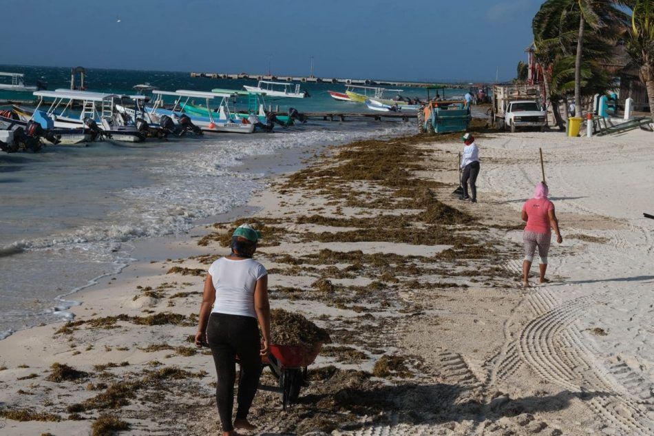 Gobierno de Puerto Morelos mantiene esfuerzos para evitar acumulación de sargazo en las playas públicas