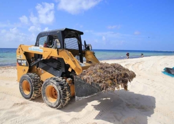 Retiran de playas en Solidaridad, más de 10 mil toneladas de sargazo