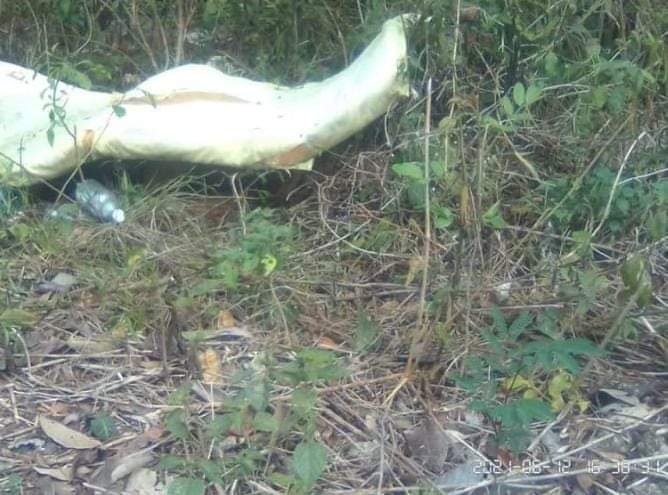 Víctima de Buenavista no estaba embarazada