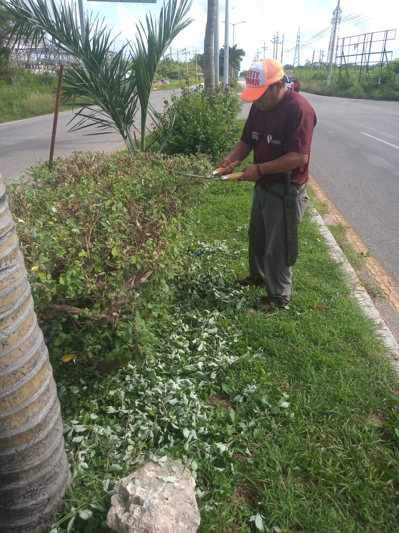Como desde el inicio, así terminará el Ayuntamiento la atención en los servicios públicos municipales