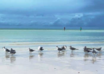 Hoteleros de Holbox sin sargazo en sus playas pero preocupados por el tema de la basura