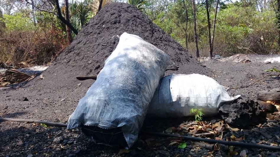 Productores de carbón del norte de Quintana Roo se quejan de tener que «regalar su trabajo» por la pandemia