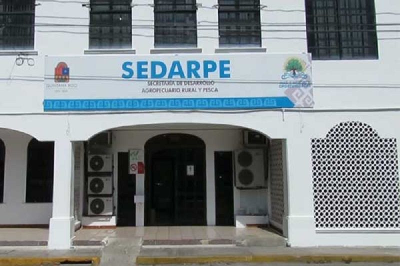 Funcionarios y ex funcionarios de SEDARPE están en la mira de la ASEQROO