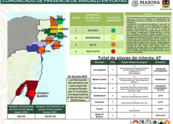Semar destaca baja presencia de sargazo en solo tres municipios de Quintana Roo