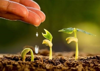 Sociedad mexicana de agroecología