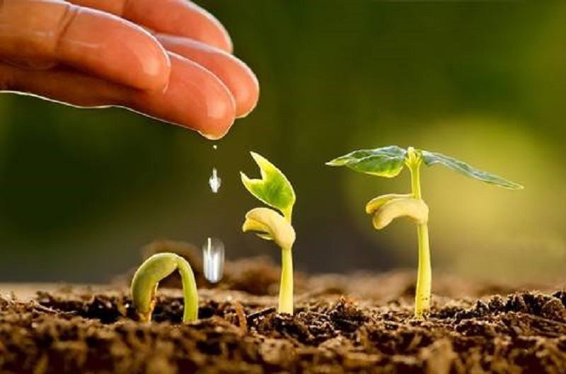 Sociedad mexicana de agroecología
