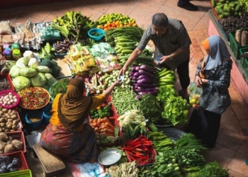 Hacia la cumbre mundial de sistemas alimentarios. II, Conceptos guía