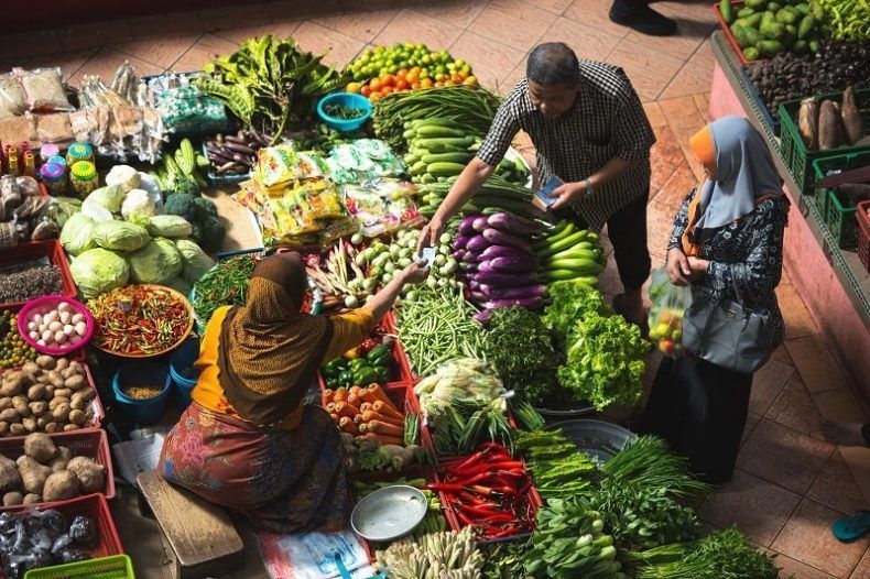 Hacia la cumbre mundial de sistemas alimentarios. II, Conceptos guía