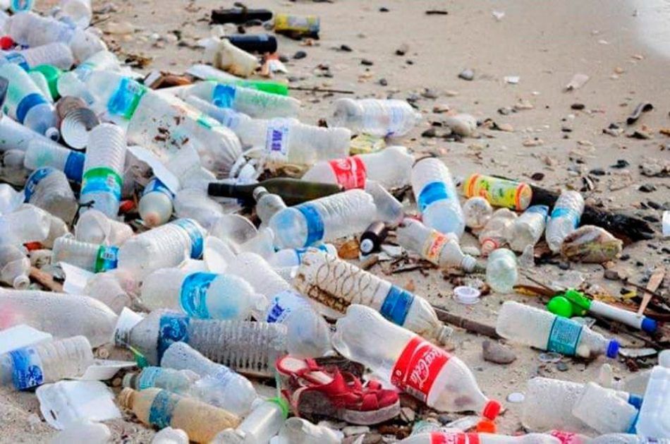 Procuraduría de Protección al Ambiente de Quintana Roo, enfocada a erradicar el plástico de un solo uso