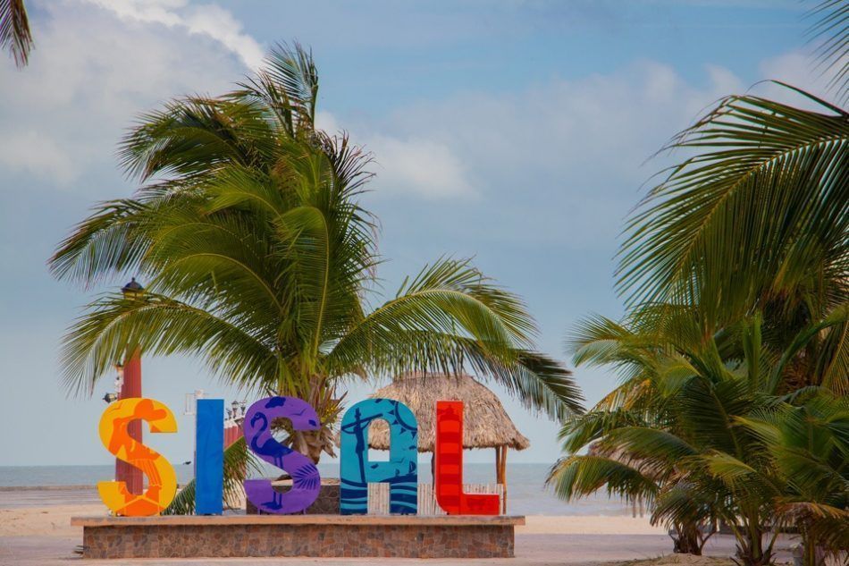 La costa yucateca ofrece un sinfín de experiencias para reconectar con la naturaleza.
