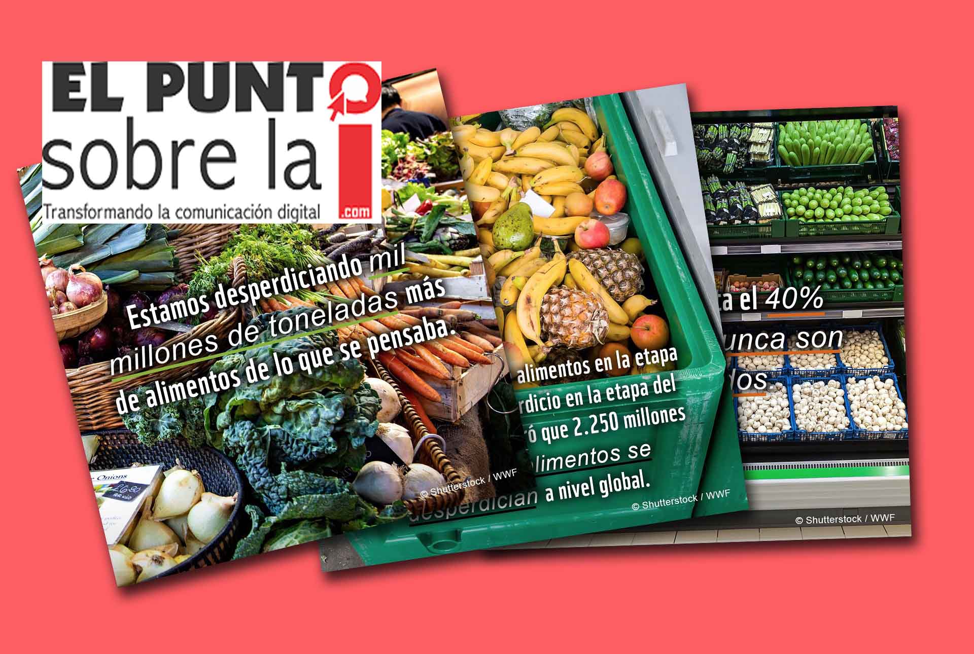 Organización estima que el mundo desperdicia cerca del 40 por ciento de los alimentos cultivados