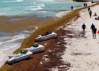 Asociación de Hoteles de la Riviera Maya crea frente empresarial para enfrentar el sargazo y sus consecuencias