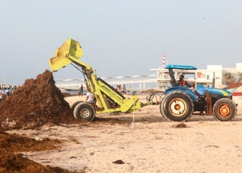 Retiran 180 toneladas de sargazo en playas de Solidaridad