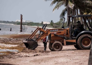 Empresarios favor de atraer inversiones para aprovechar el sargazo lo que generará playas limpias y fuentes de empleo