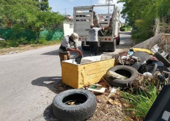 Recolectan más de 400 toneladas de cacharros en diferentes puntos de Cancún