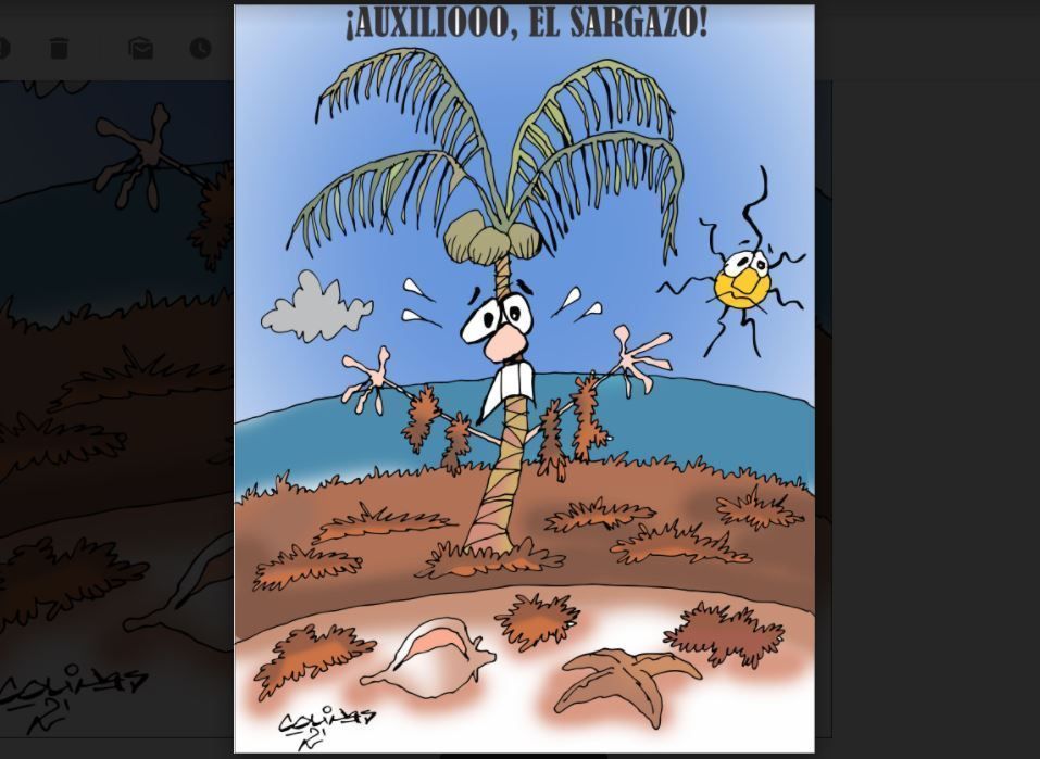 COLINAS: ¡Auxilio, el sargazo!