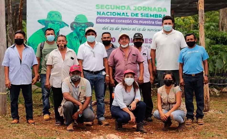 Buscan campesinos sembrar más de dos millones de árboles en Felipe Carrillo Puerto