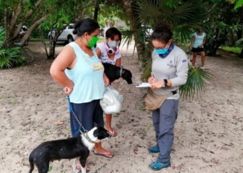 Fundación procura esterilización de mascotas en situación de calle para proteger ecosistema de Área Natural Protegida yucateca