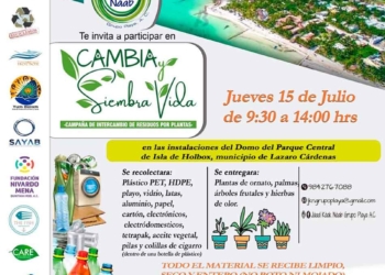 Canjearan en Holbox residuos sólidos por distintos tipos de plantas