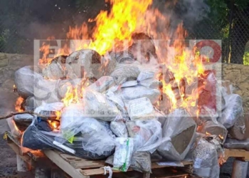 La FGE y SEDENA incineran en Quintana Roo narcóticos y destruye diversos objetos delictivos