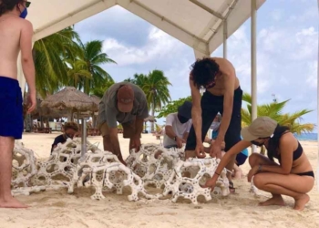 Presentan proyecto para involucrar arte, ciencia y tecnología a fin de concientizar sobre la importancia de los arrecifes coralinos