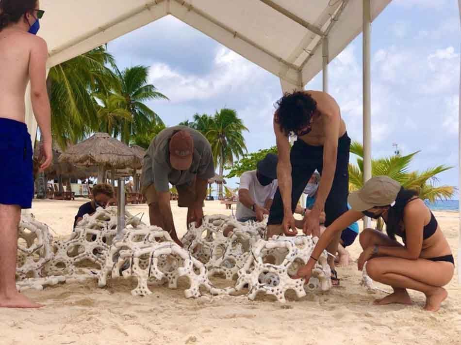 Presentan proyecto para involucrar arte, ciencia y tecnología a fin de concientizar sobre la importancia de los arrecifes coralinos