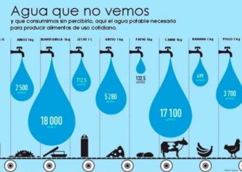 Gobierno de Q.Roo procura desarrollo sin comprometer los recursos naturales y humanos