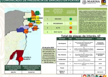 Solo tres municipios de Quintana Roo logran baja presencia de sargazo en sus playas por darles limpieza