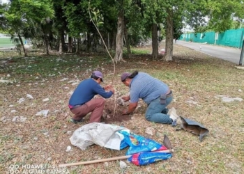 Quintana Roo procura evitar impacto negativo ambiental