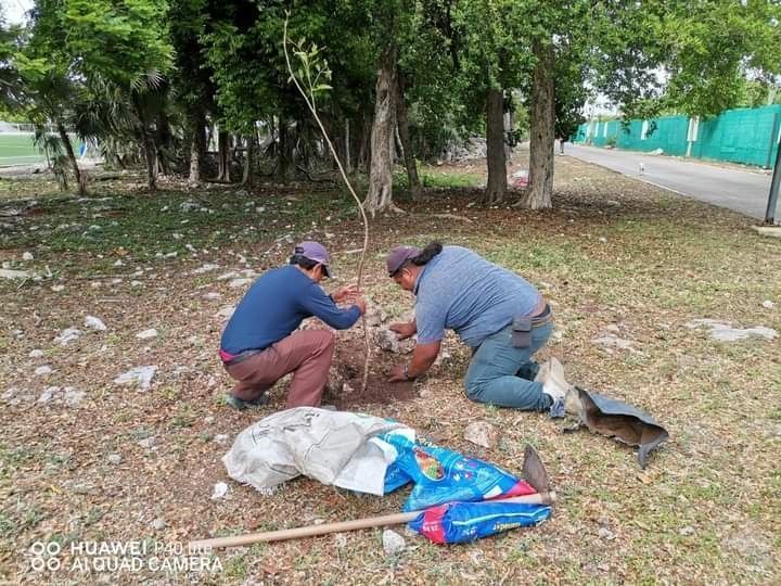 Quintana Roo procura evitar impacto negativo ambiental
