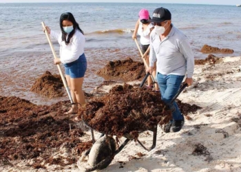 Sector juvenil de Puerto Morelos se suma a la limpieza de playas