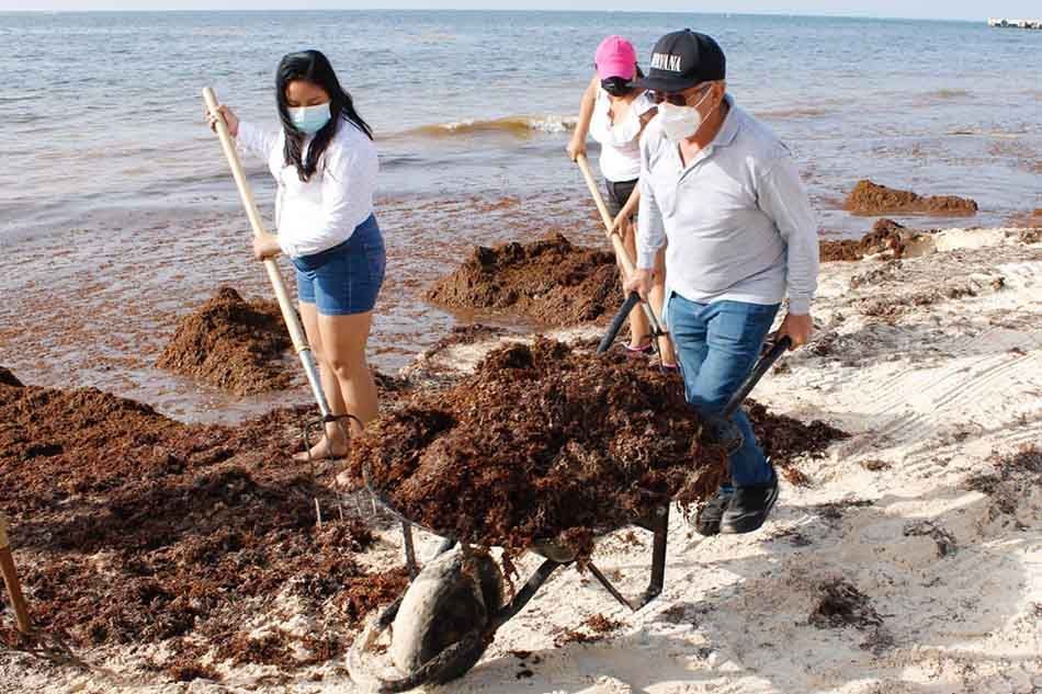 Sector juvenil de Puerto Morelos se suma a la limpieza de playas