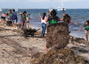 La comunidad religiosa se suma a la limpieza de playas en Puerto Morelos