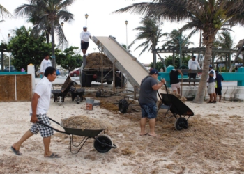 Participa Puerto Morelos en seminario nacional para la atención del fenómeno del sargazo