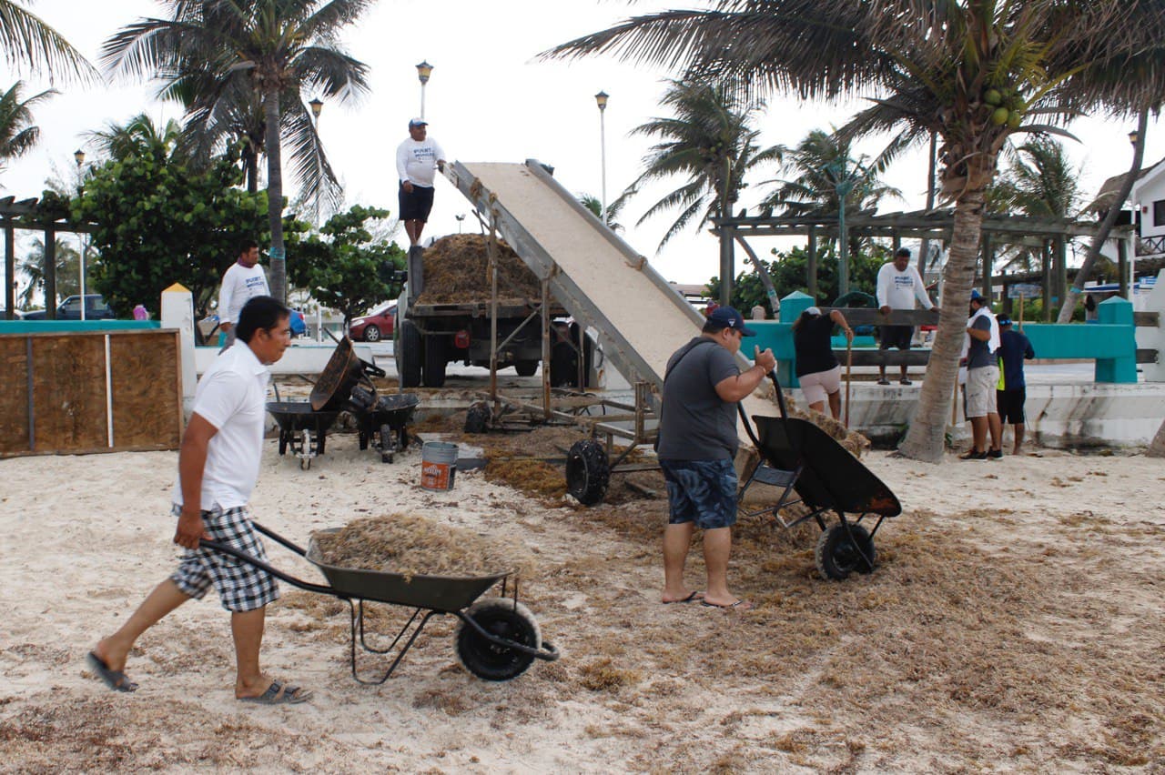 Participa Puerto Morelos en seminario nacional para la atención del fenómeno del sargazo