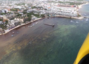 Podría darse mayor presencia de sargazo en esta segunda mitad de la temporada de verano