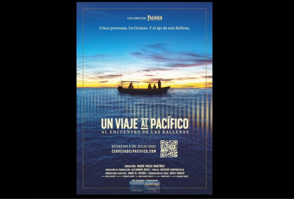 Un viaje al pacífico: la maravillosa conexión entre el ser humano y el océano