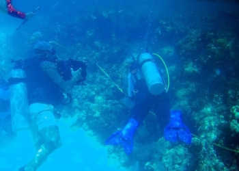 Inapesca resalta que es un éxito el programa de recuperación de corales en Quintana Roo