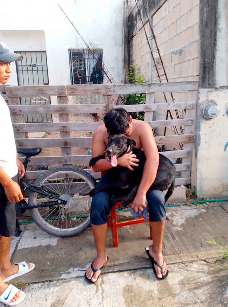 Policías rescatan a un hombre y su mascota de casa que se incendiaba en Cancún