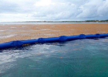 Por cuestiones de seguridad, retiran del mar barrera antisargazo en Playa del Carmen