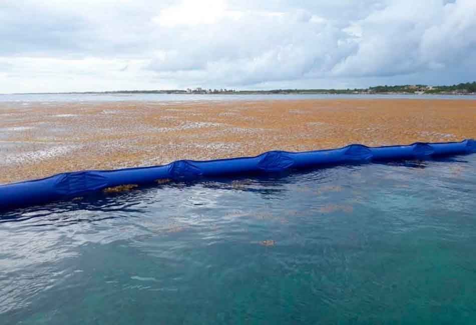 Por cuestiones de seguridad, retiran del mar barrera antisargazo en Playa del Carmen