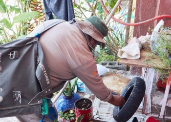 Cozumel, sin casos de Dengue, Zika o Chikungunya en lo que va de 2021, reporta autoridades
