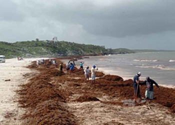 Ayuntamiento de Tulum retiró más de mil 500 toneladas de sargazo de Playas de Tulum en abril mayo y junio