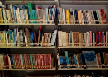 Biblioteca Pública de Kantunilkín registra más de un año sin lectores, a pesar de tener sus puertas abiertas