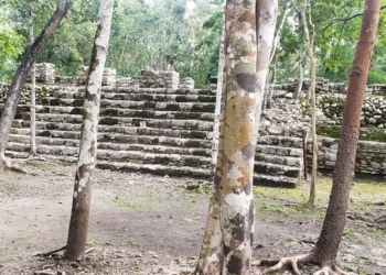 Zona Arqueológica de Cobá reabre al público con aforo reducido